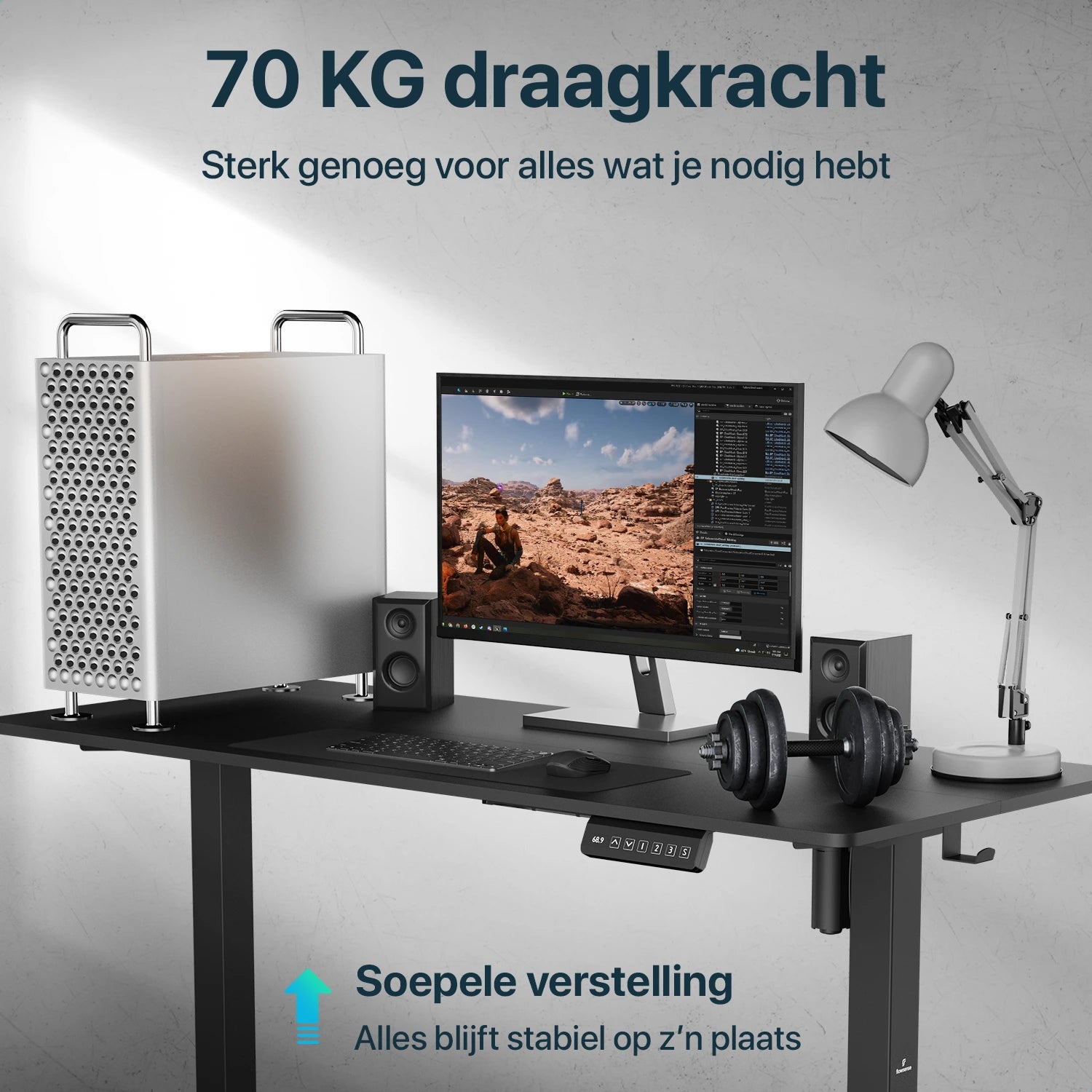 Flowsense Zit Sta Bureau - Verstelbaar Elektrisch Bureau - 120 x 60 cm